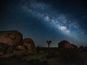 Joshua Tree National Park