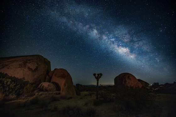 Joshua Tree National Park