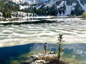 Uinta National Forest 