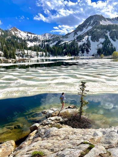 Uinta National Forest 