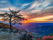 Blue Ridge Parkway at Ravens Roost