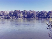 Congaree National Park