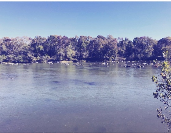 Congaree National Park