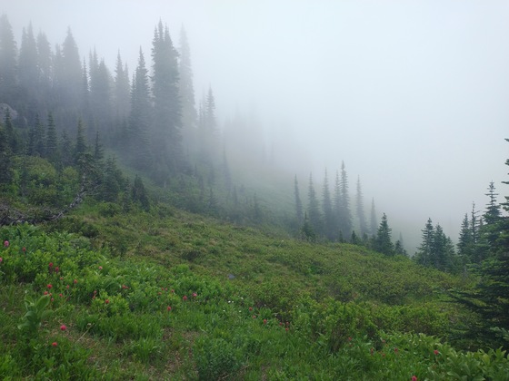 Mt. Rainier National Park