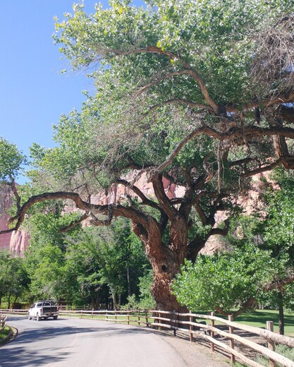 Capitol Reef National Park