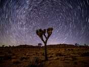 Joshua Tree National Park