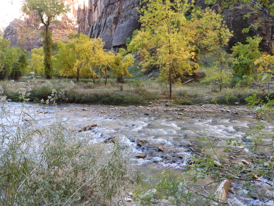 Zion National Park