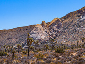 Joshua Tree National Park