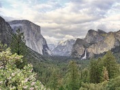 Yosemite National Park