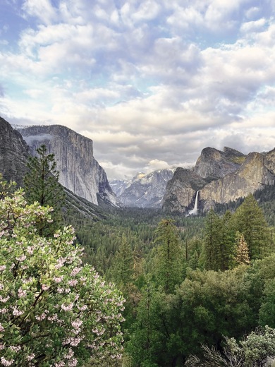 Yosemite National Park