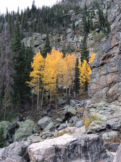 Rocky Mountain National Park