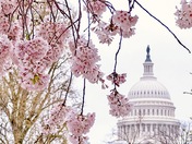 National Mall