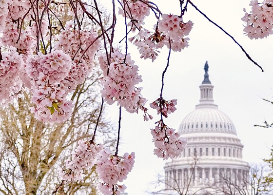 National Mall