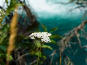 Glacier National Park
