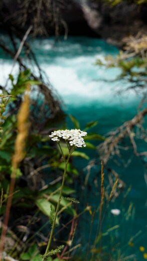 Glacier National Park