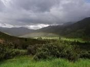 Boise National Forest