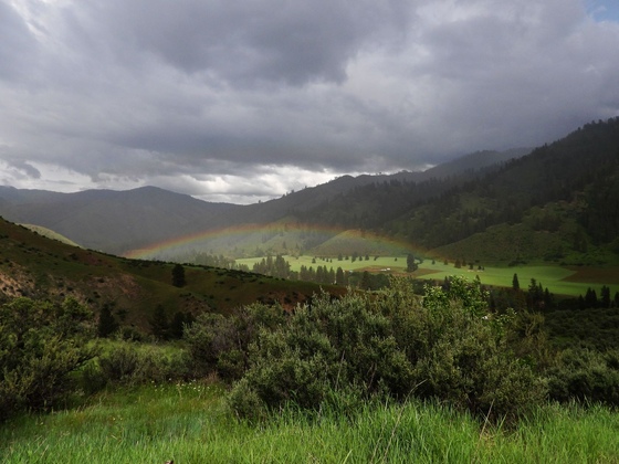 Boise National Forest