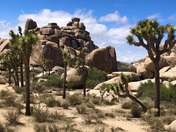 Joshua Tree National Psrk