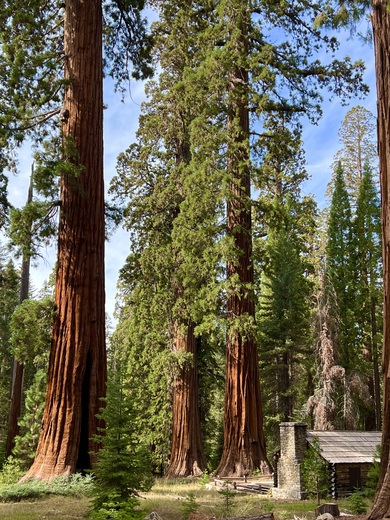 Yosemite National Park