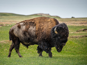 Badlands National Park