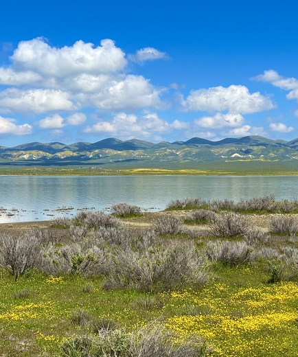 Carrizo Plains National Monument