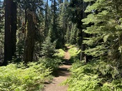 Yosemite National Park