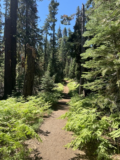 Yosemite National Park