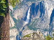 Yosemite National Park