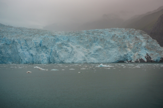 Kenai Fjords
