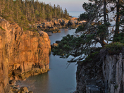Acadia National Park 