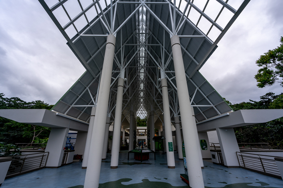 El Yunque National Forest