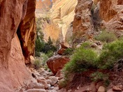 Capitol Reef National Park