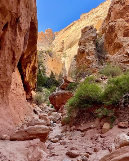 Capitol Reef National Park