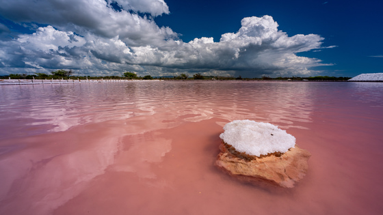 Cabo Rojo National Wildlife Refuge