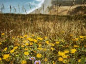 Point Reyes National Seashore