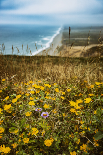 Point Reyes National Seashore