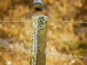Point Reyes National Seashore