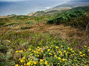Point Reyes National Seashore