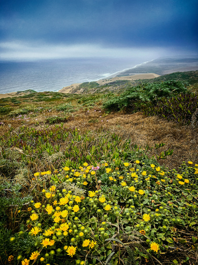 Point Reyes National Seashore