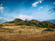 Point Reyes National Seashore