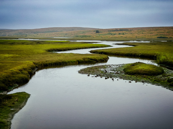 Point Reyes National Seashore