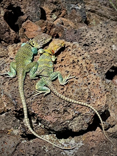 El Malpais National Monument 