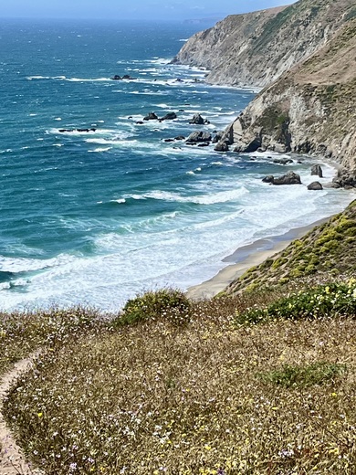Point Reyes National Seashore