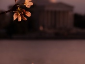 Jefferson Memorial 