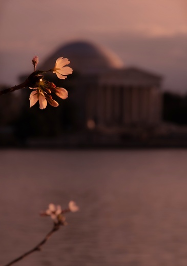 Jefferson Memorial 