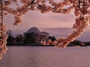 Jefferson Memorial 