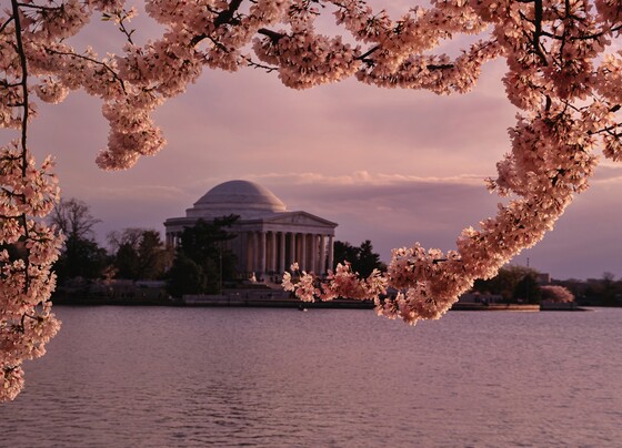 Jefferson Memorial 