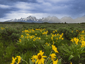 Grand Teton National Park 