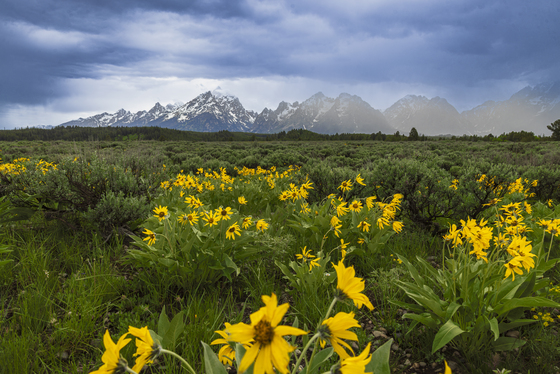 Grand Teton National Park 