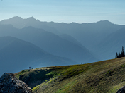Hurricane Ridge, Olympic National Park